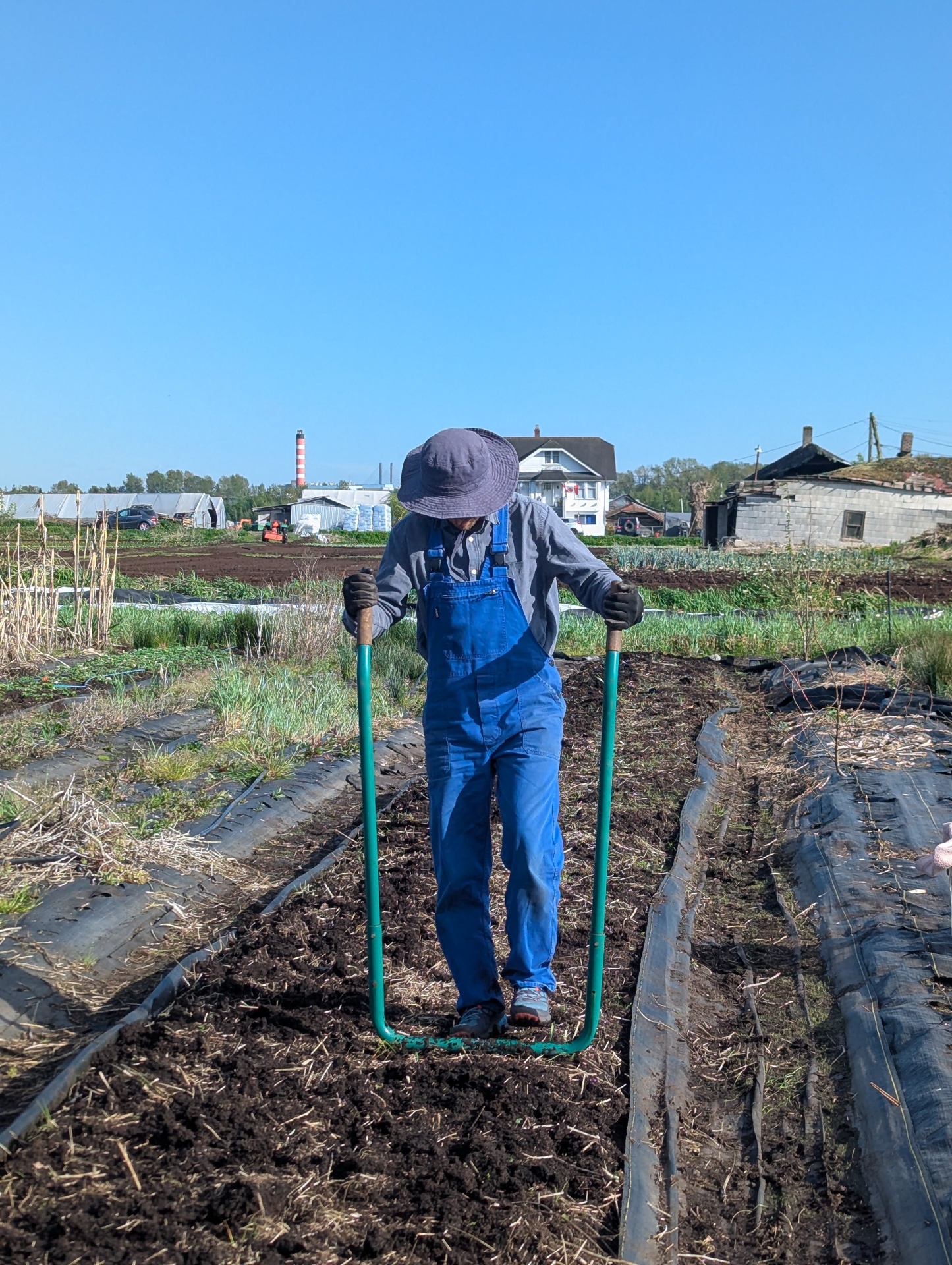 A helper working the soil with a broadfork in the spring beds